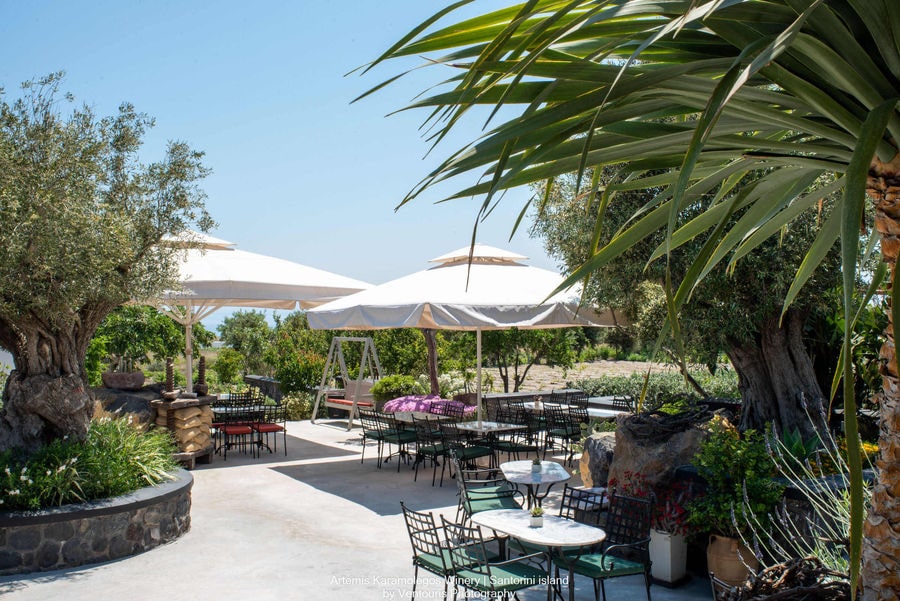 Winery_ArtemisKaramolegos2022_ (58)_Social (1).jpg